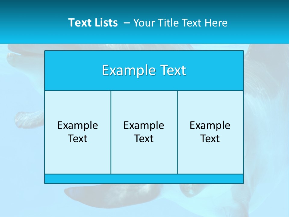 A Couple Of Dolphins Swimming In The Water PowerPoint Template