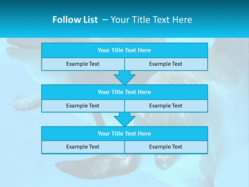 A Couple Of Dolphins Swimming In The Water PowerPoint Template