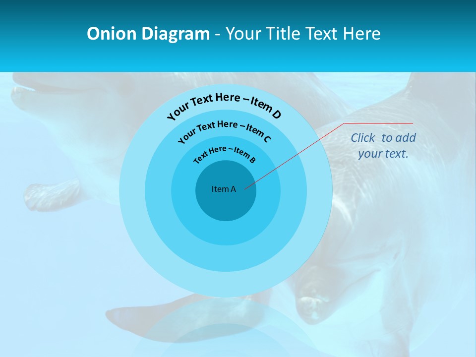 A Couple Of Dolphins Swimming In The Water PowerPoint Template