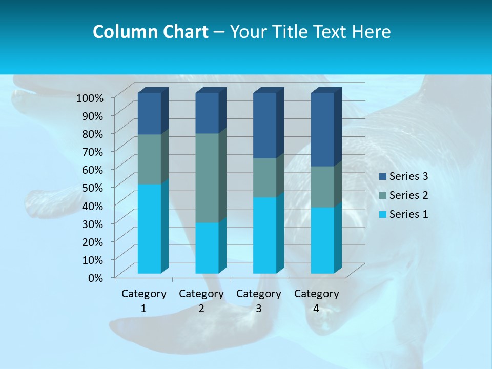 A Couple Of Dolphins Swimming In The Water PowerPoint Template