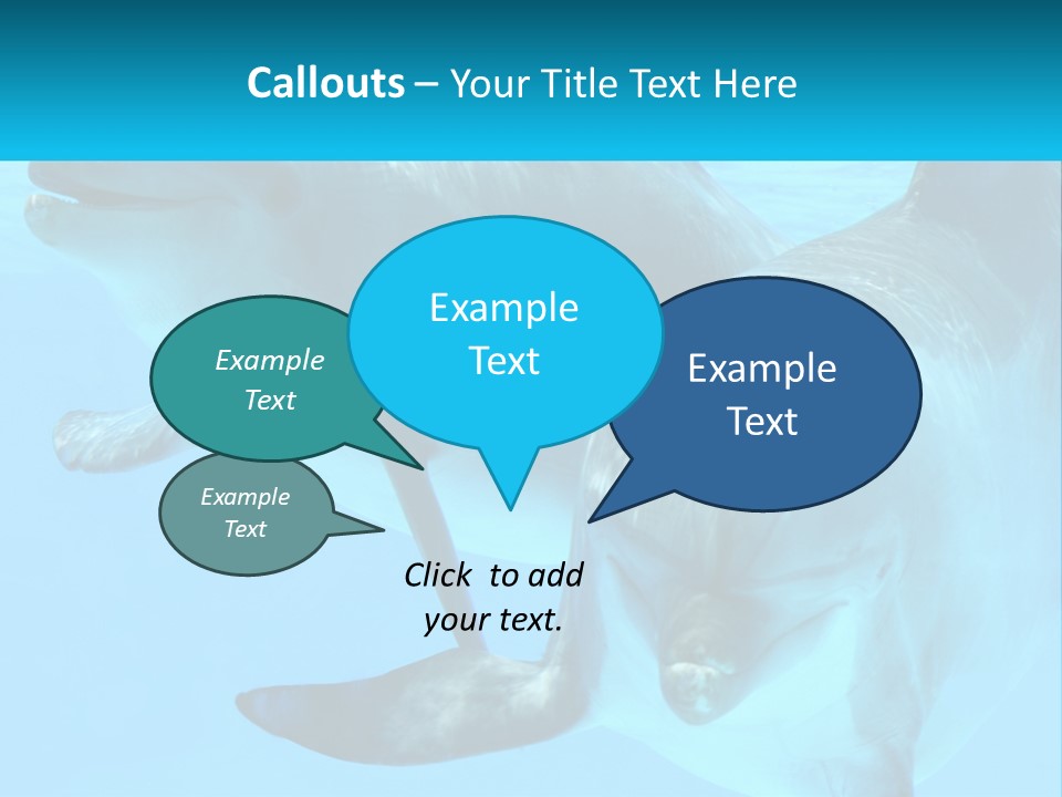 A Couple Of Dolphins Swimming In The Water PowerPoint Template