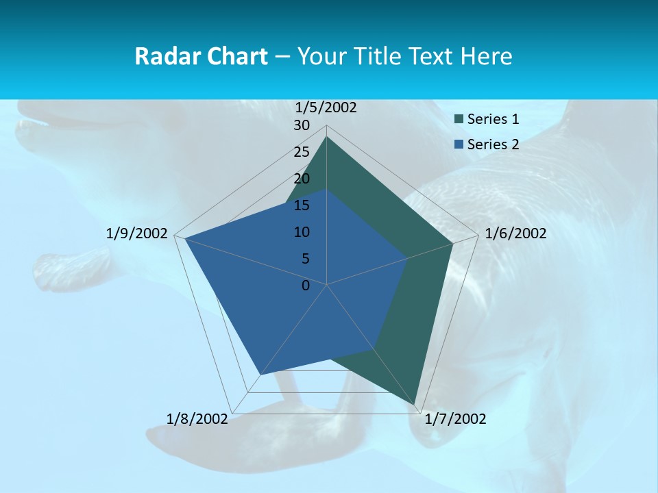 A Couple Of Dolphins Swimming In The Water PowerPoint Template
