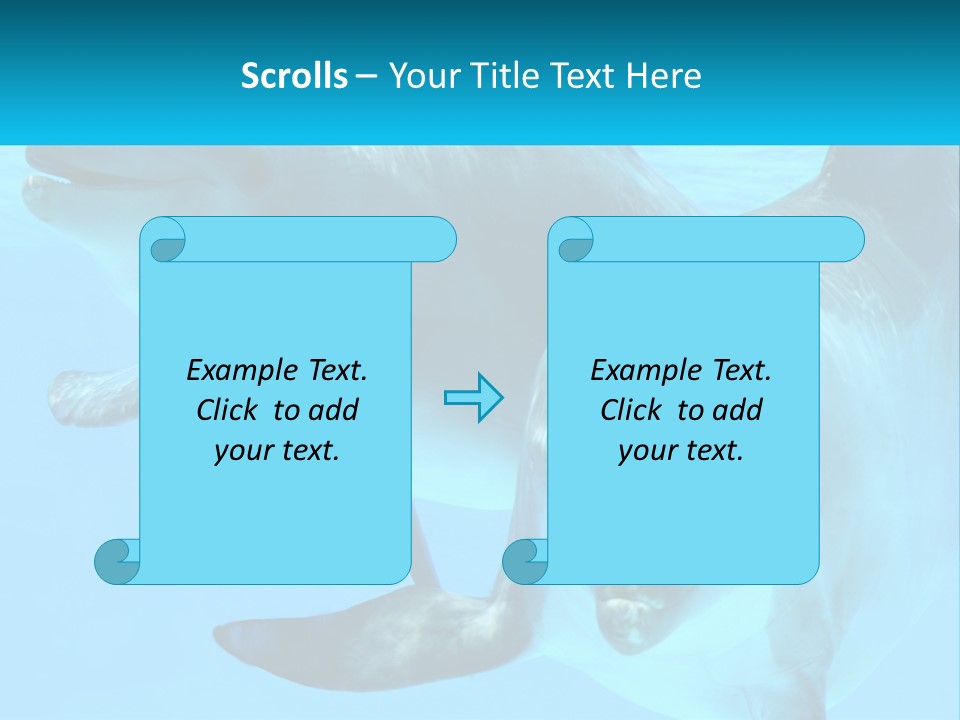 A Couple Of Dolphins Swimming In The Water PowerPoint Template