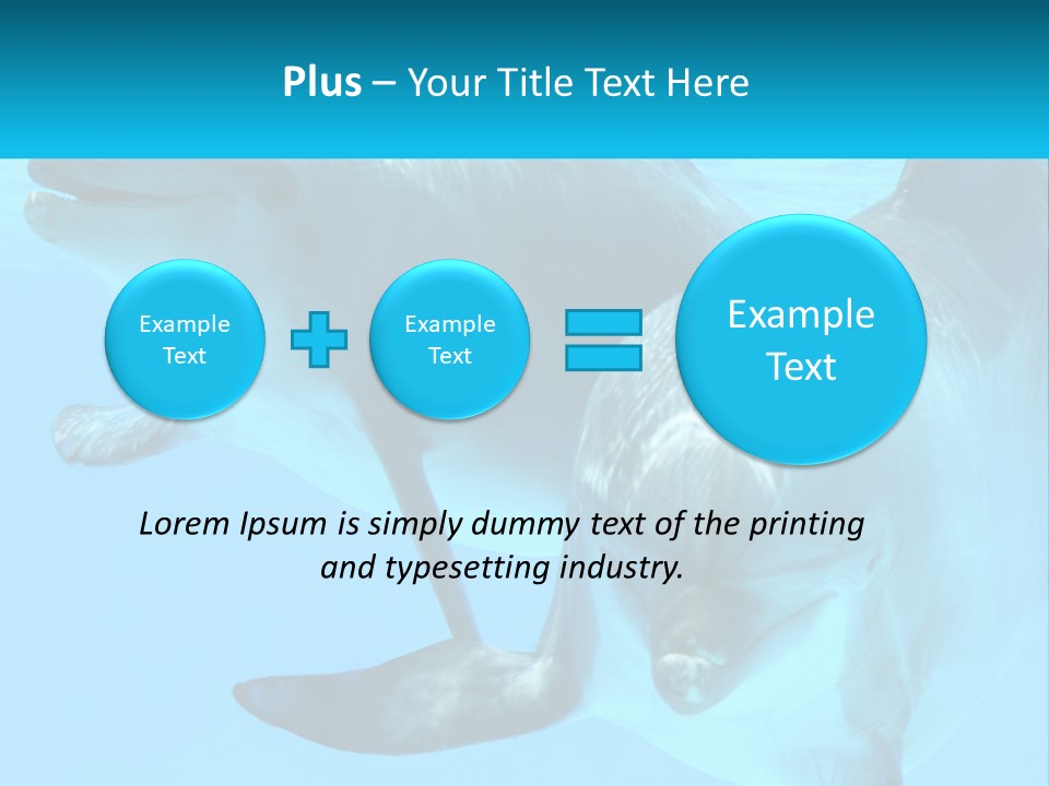 A Couple Of Dolphins Swimming In The Water PowerPoint Template