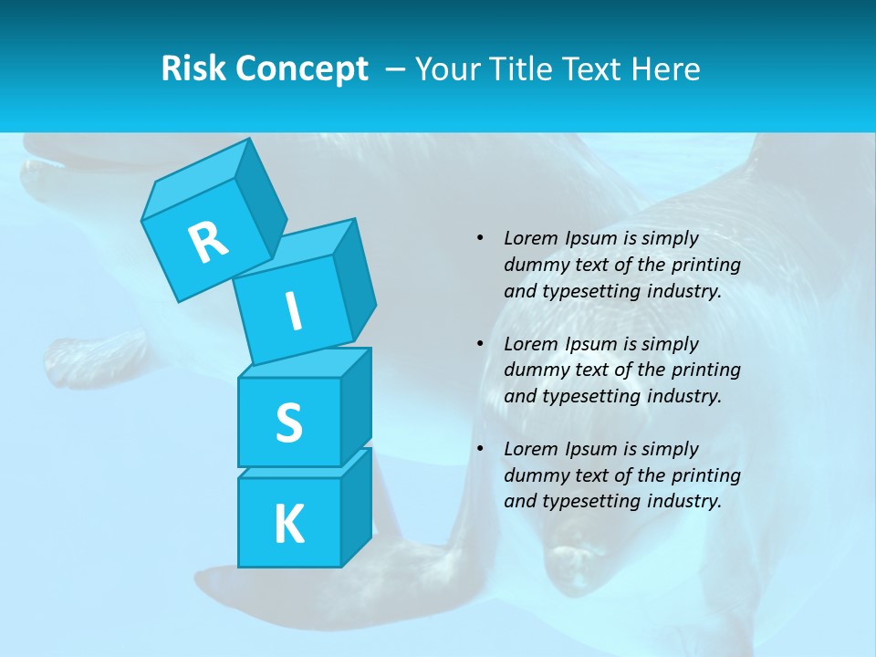 A Couple Of Dolphins Swimming In The Water PowerPoint Template