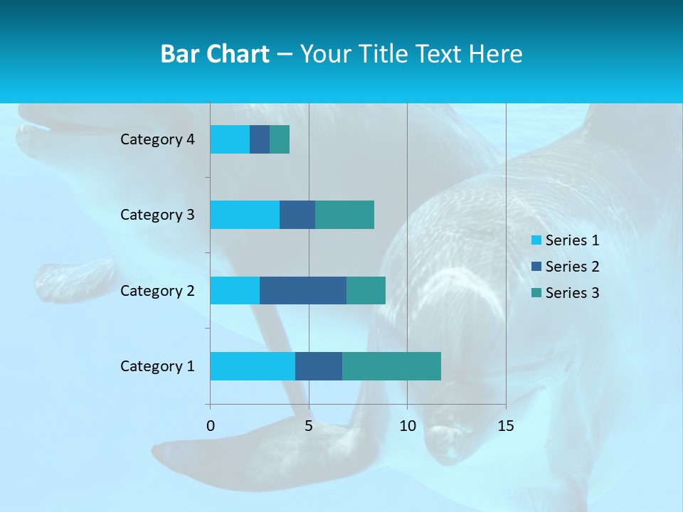 A Couple Of Dolphins Swimming In The Water PowerPoint Template