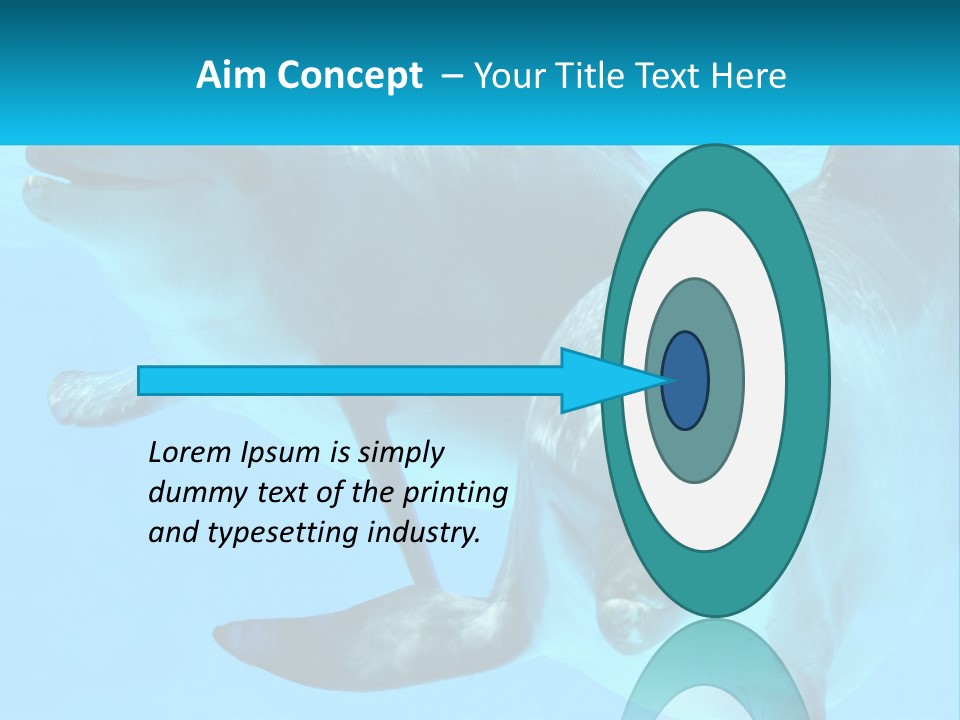 A Couple Of Dolphins Swimming In The Water PowerPoint Template