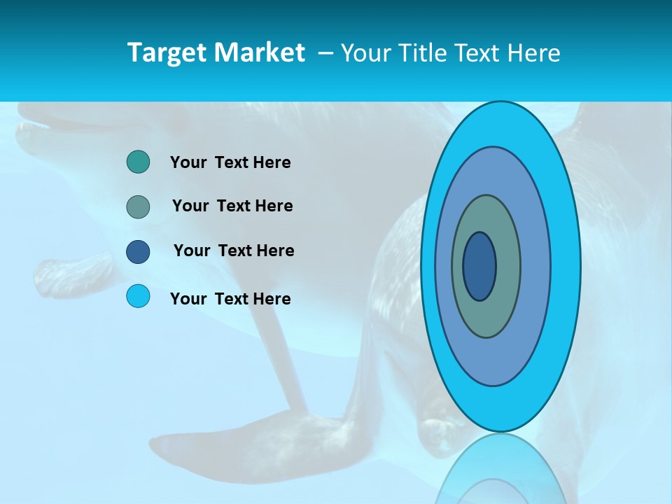 A Couple Of Dolphins Swimming In The Water PowerPoint Template