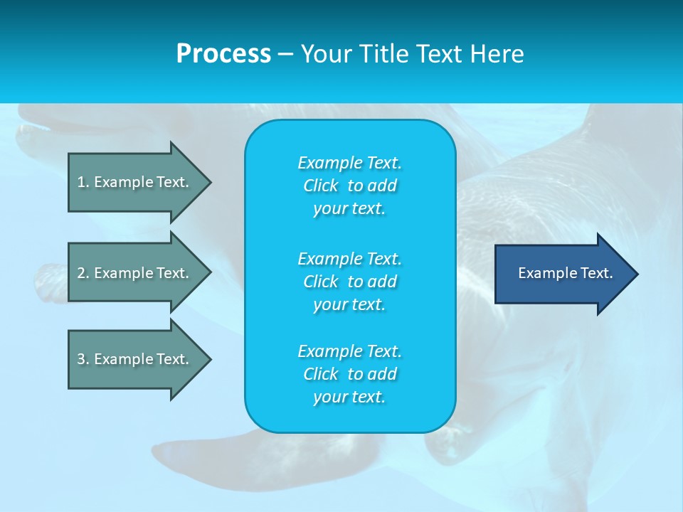 A Couple Of Dolphins Swimming In The Water PowerPoint Template
