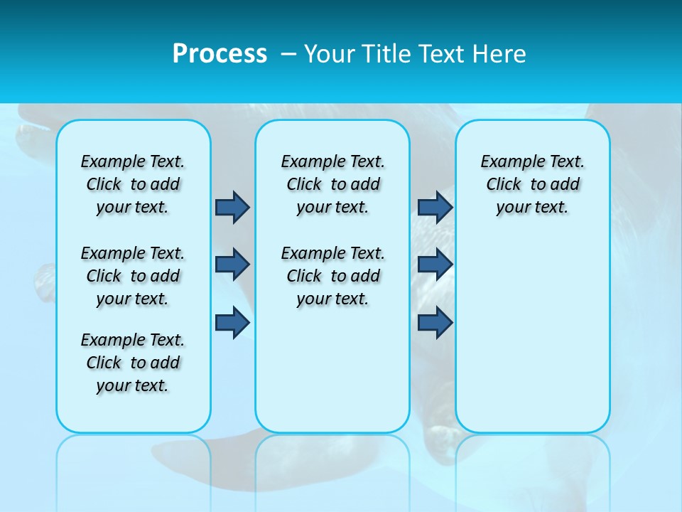A Couple Of Dolphins Swimming In The Water PowerPoint Template