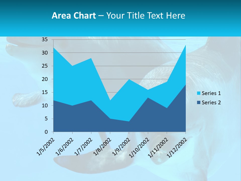 A Couple Of Dolphins Swimming In The Water PowerPoint Template