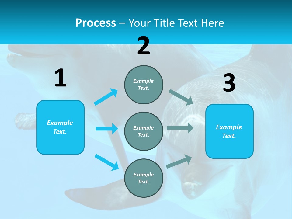 A Couple Of Dolphins Swimming In The Water PowerPoint Template