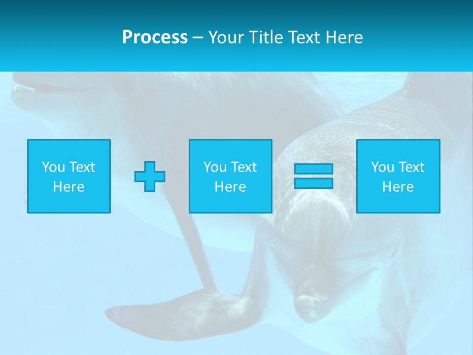 A Couple Of Dolphins Swimming In The Water PowerPoint Template