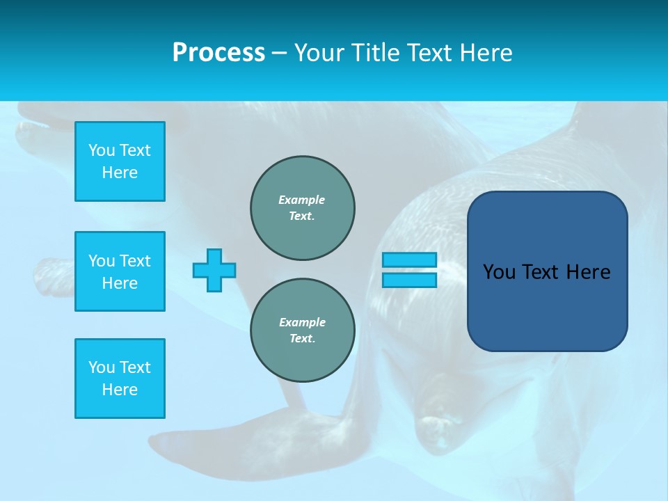 A Couple Of Dolphins Swimming In The Water PowerPoint Template