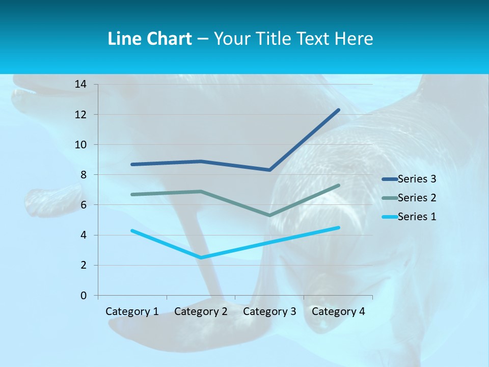 A Couple Of Dolphins Swimming In The Water PowerPoint Template