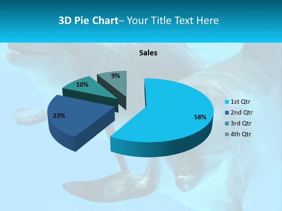 A Couple Of Dolphins Swimming In The Water PowerPoint Template