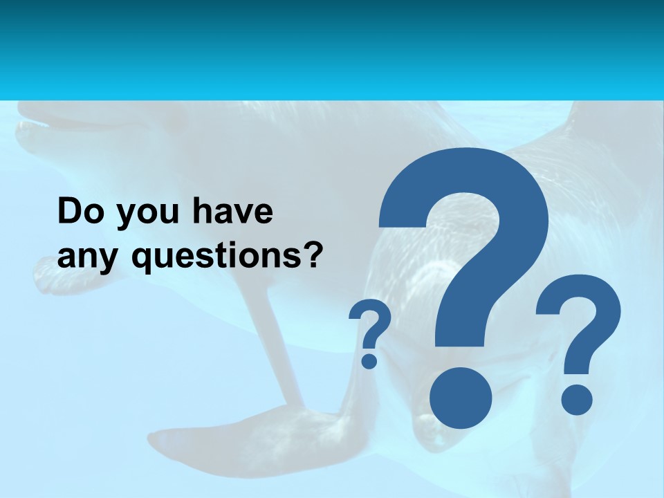 A Couple Of Dolphins Swimming In The Water PowerPoint Template