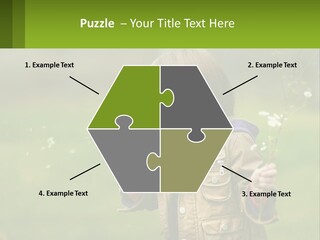 A Little Girl Blowing A Dandelion In A Field PowerPoint Template