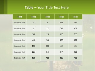 A Little Girl Blowing A Dandelion In A Field PowerPoint Template