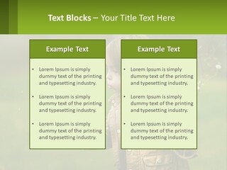 A Little Girl Blowing A Dandelion In A Field PowerPoint Template