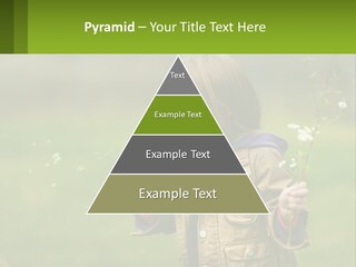 A Little Girl Blowing A Dandelion In A Field PowerPoint Template