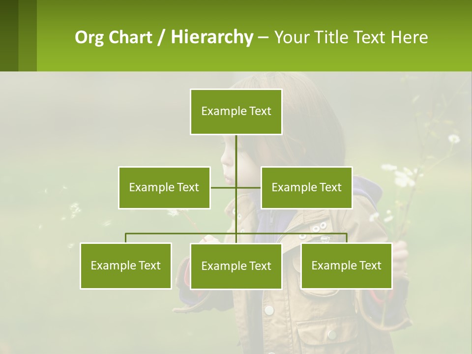 A Little Girl Blowing A Dandelion In A Field PowerPoint Template