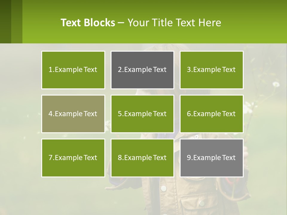 A Little Girl Blowing A Dandelion In A Field PowerPoint Template