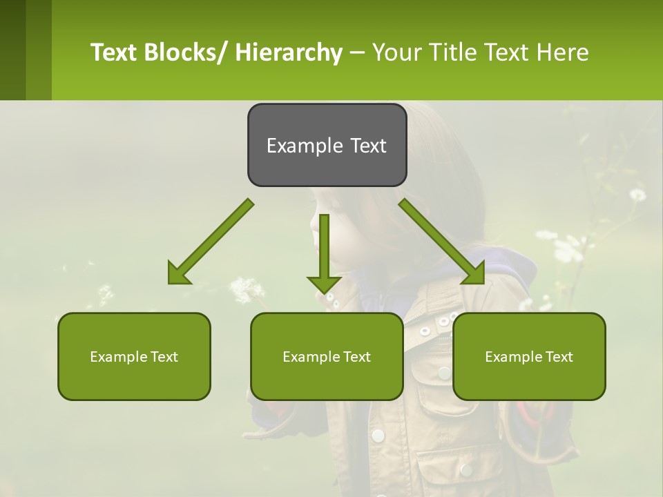 A Little Girl Blowing A Dandelion In A Field PowerPoint Template