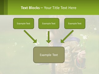 A Little Girl Blowing A Dandelion In A Field PowerPoint Template