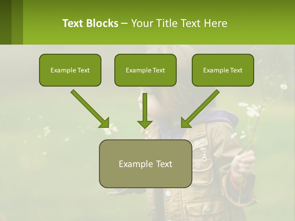 A Little Girl Blowing A Dandelion In A Field PowerPoint Template