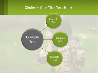 A Little Girl Blowing A Dandelion In A Field PowerPoint Template