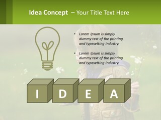 A Little Girl Blowing A Dandelion In A Field PowerPoint Template