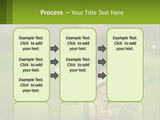 A Little Girl Blowing A Dandelion In A Field PowerPoint Template