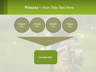 A Little Girl Blowing A Dandelion In A Field PowerPoint Template