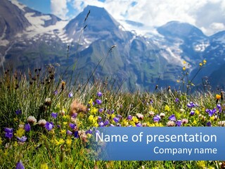 A Field Of Wildflowers With Mountains In The Background PowerPoint Template