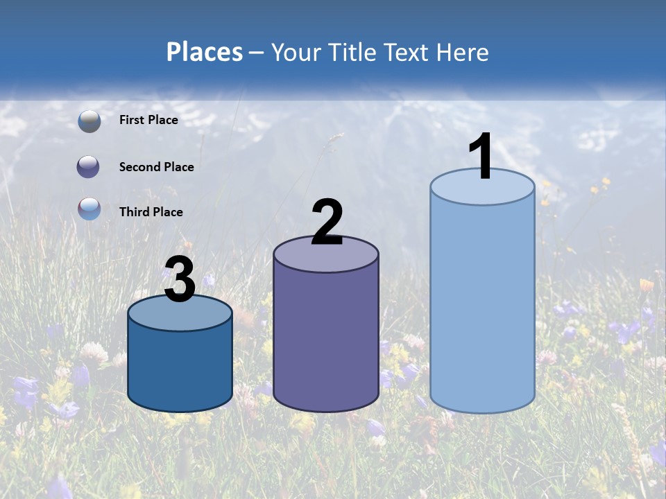 A Field Of Wildflowers With Mountains In The Background PowerPoint Template