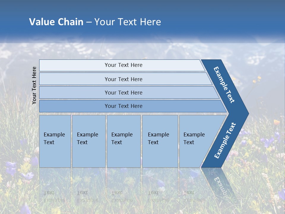 A Field Of Wildflowers With Mountains In The Background PowerPoint Template