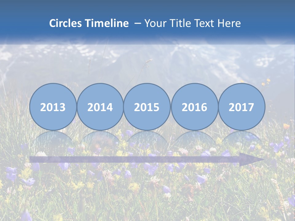 A Field Of Wildflowers With Mountains In The Background PowerPoint Template