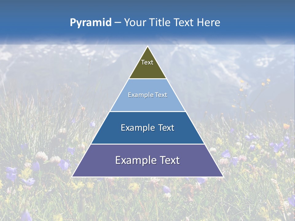 A Field Of Wildflowers With Mountains In The Background PowerPoint Template