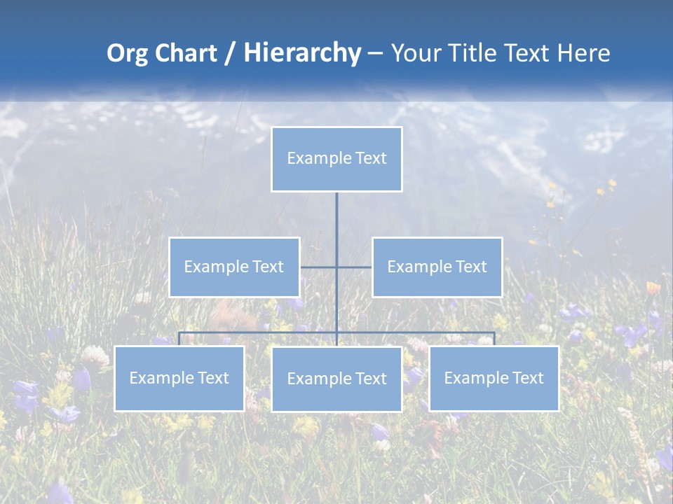 A Field Of Wildflowers With Mountains In The Background PowerPoint Template