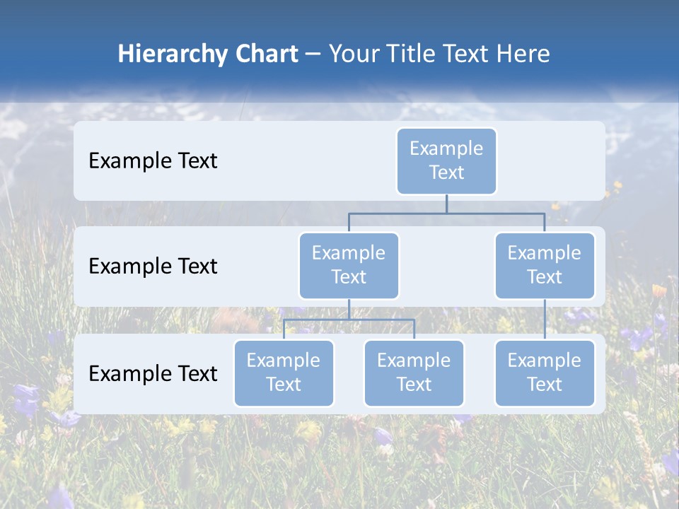A Field Of Wildflowers With Mountains In The Background PowerPoint Template