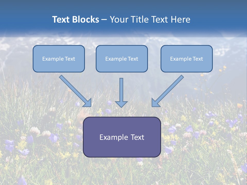 A Field Of Wildflowers With Mountains In The Background PowerPoint Template