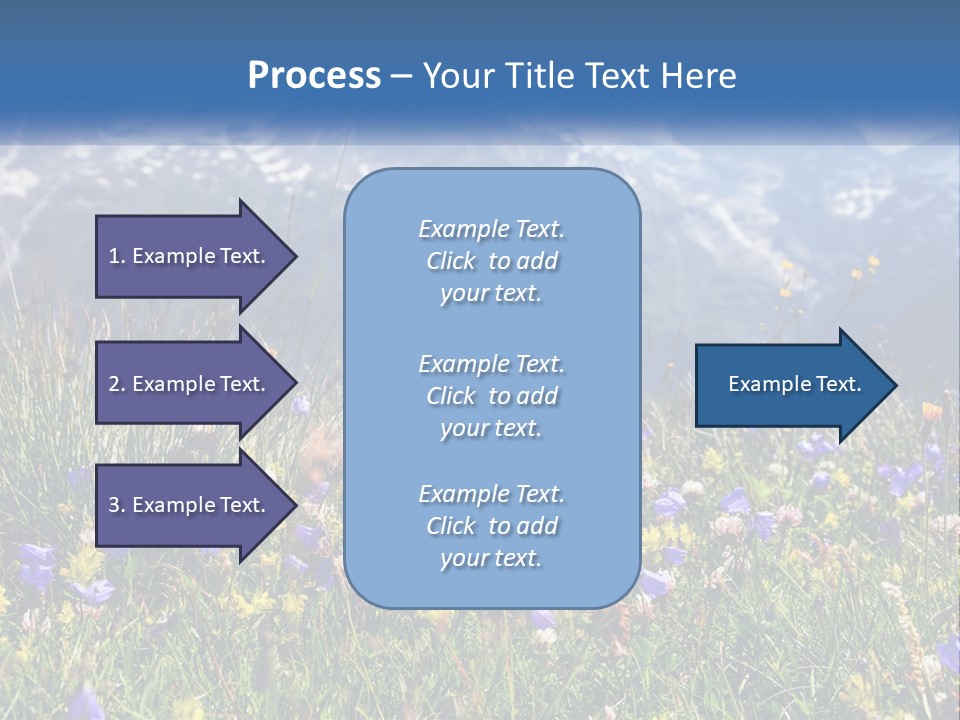A Field Of Wildflowers With Mountains In The Background PowerPoint Template