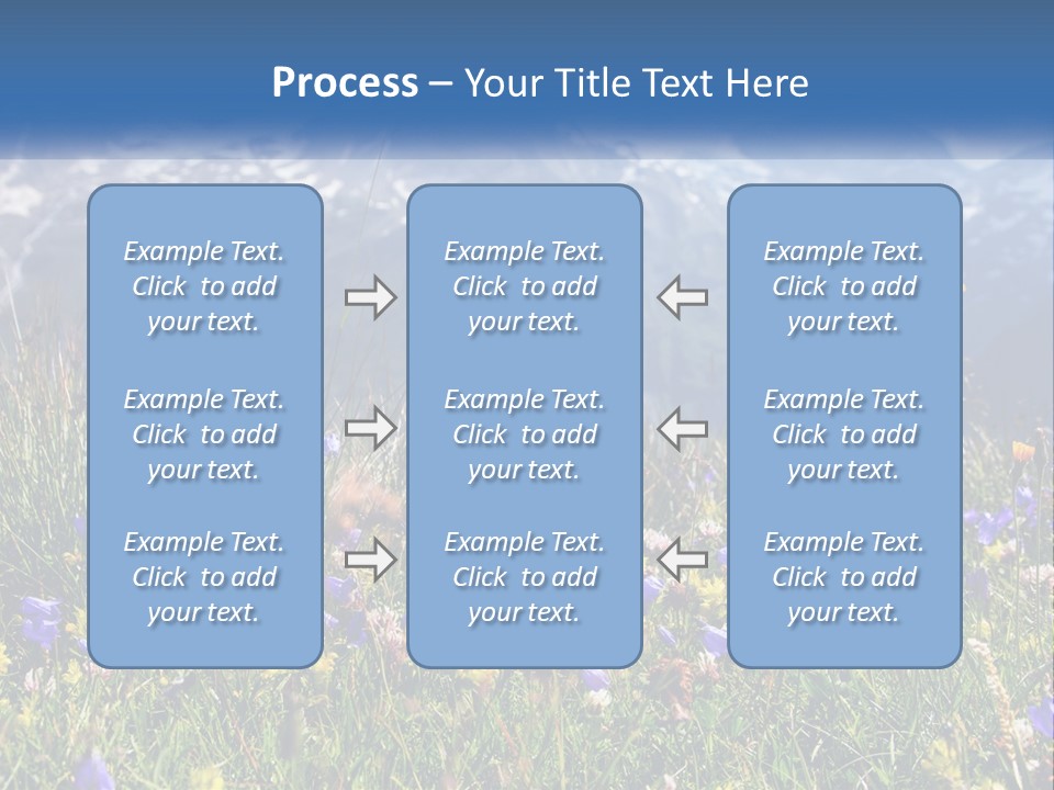 A Field Of Wildflowers With Mountains In The Background PowerPoint Template