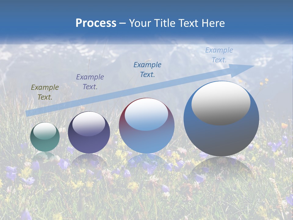 A Field Of Wildflowers With Mountains In The Background PowerPoint Template