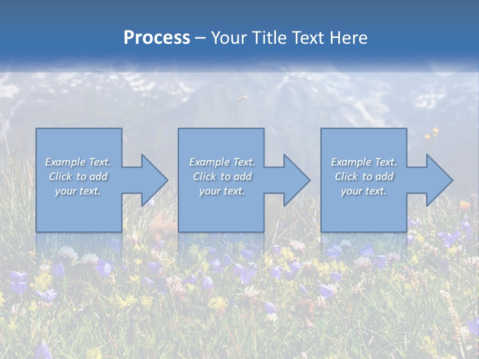 A Field Of Wildflowers With Mountains In The Background PowerPoint Template
