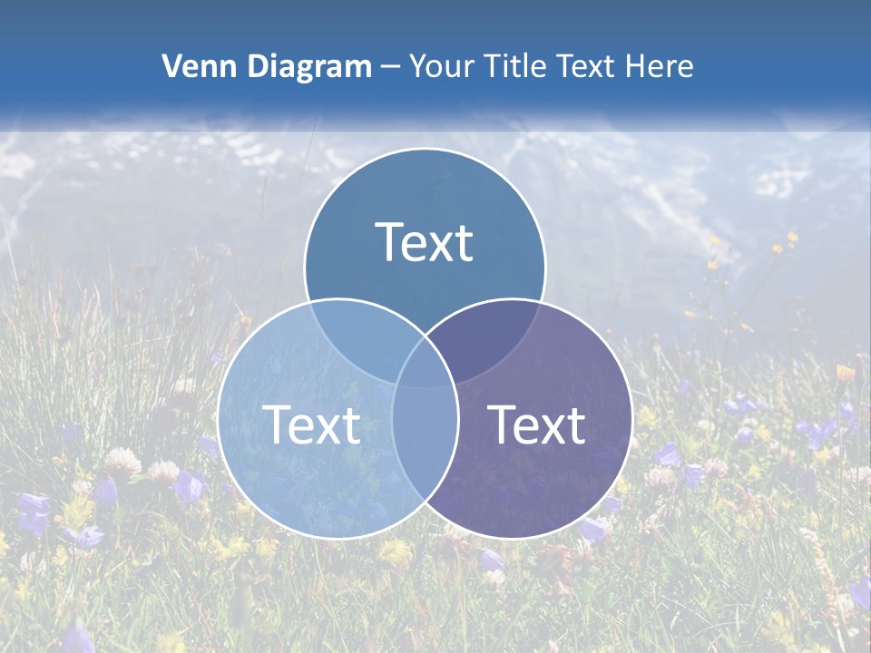 A Field Of Wildflowers With Mountains In The Background PowerPoint Template