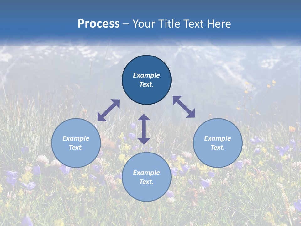 A Field Of Wildflowers With Mountains In The Background PowerPoint Template