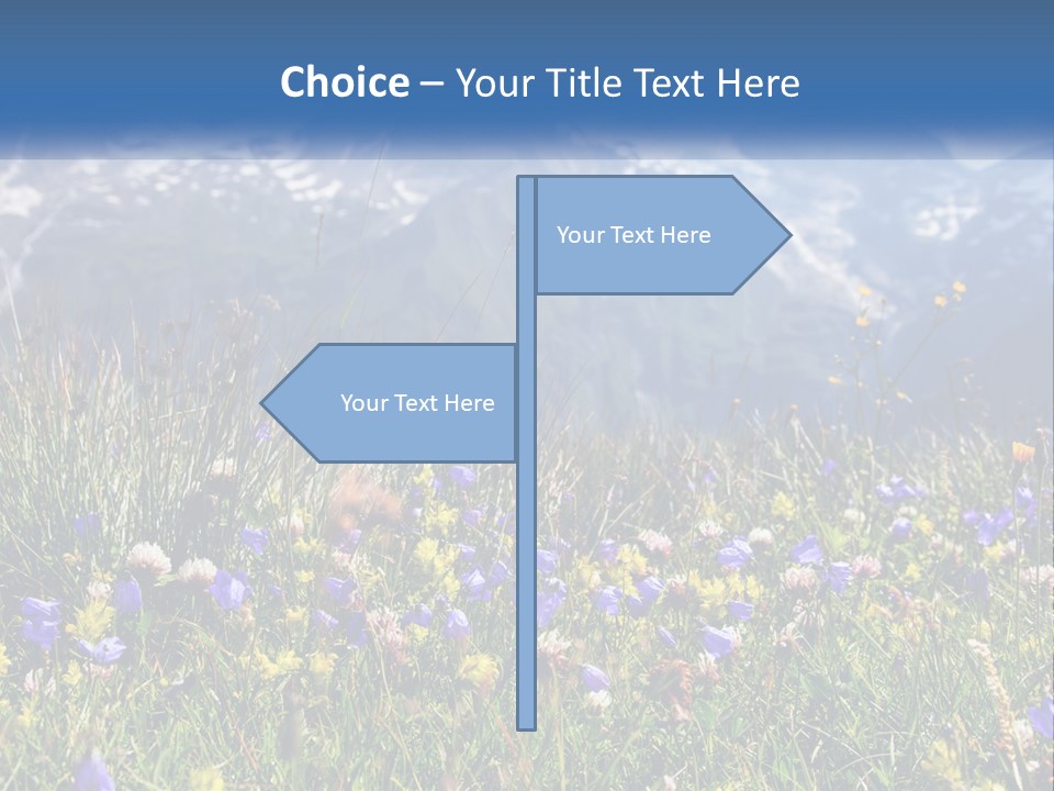 A Field Of Wildflowers With Mountains In The Background PowerPoint Template