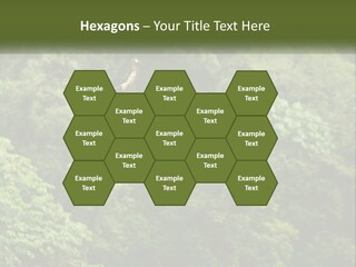 A Man Is Zipping Through The Air On A Rope PowerPoint Template